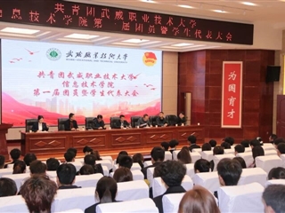 共青團武威職業(yè)技術(shù)大學(xué)信息技術(shù)學(xué)院第一屆團員暨學(xué)生代表大會成功召開