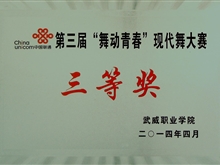 “舞動青春”現代舞大賽三等獎